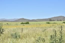 Terreno en Venta en LOTE 75, Las Verbenas , Sierra de  la Ventana - Bahía Blanca Propiedades | SITIO OFICIAL l