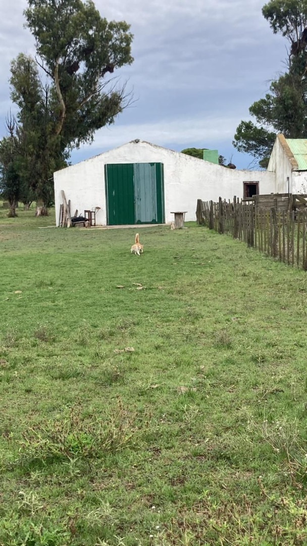 Campo  en Venta en A 18 Kilómetros De Algarrobo,  Villarino - Bahía Blanca Propiedades | SITIO OFICIAL l