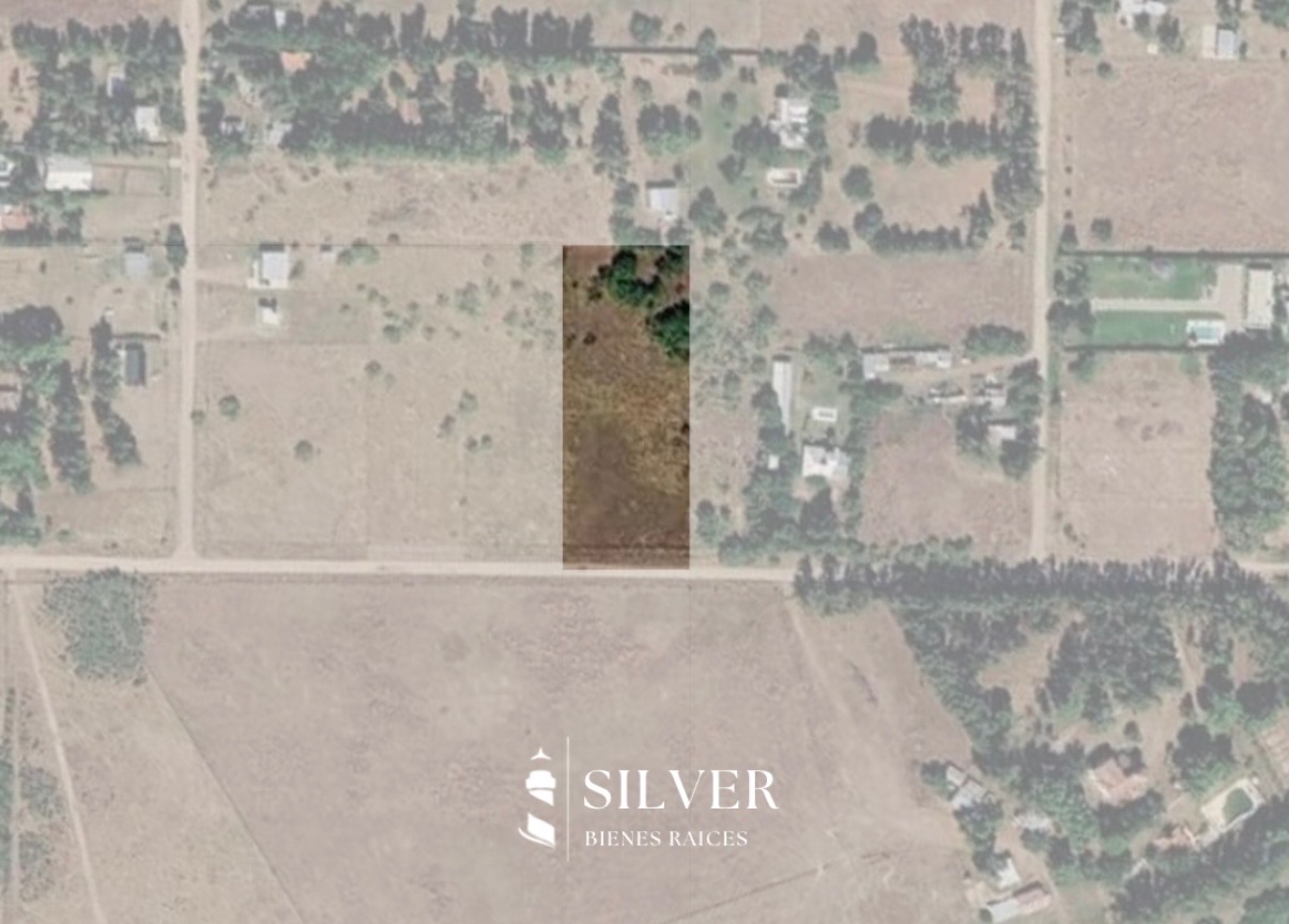 Terreno en Venta en Borlengui Entre Azara Y Liniers,  Bahía Blanca - Bahía Blanca Propiedades | SITIO OFICIAL l