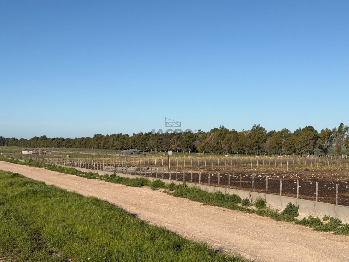 Campo  en Venta en Coronel Dorrego,  Coronel Dorrego - Bahía Blanca Propiedades | SITIO OFICIAL l