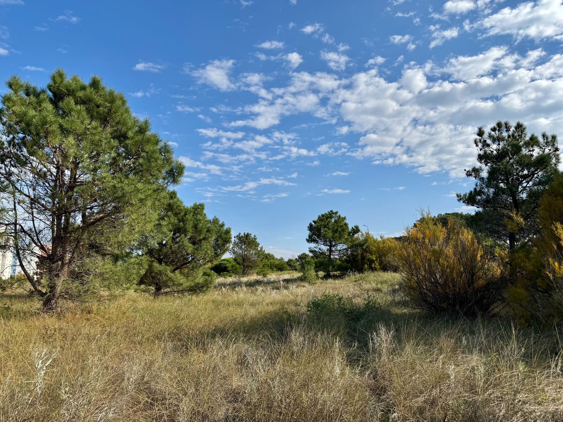 Terreno en Venta en Flamencos Y Martinetas, Monte del Este, Monte Hermoso - Bahía Blanca Propiedades | SITIO OFICIAL l