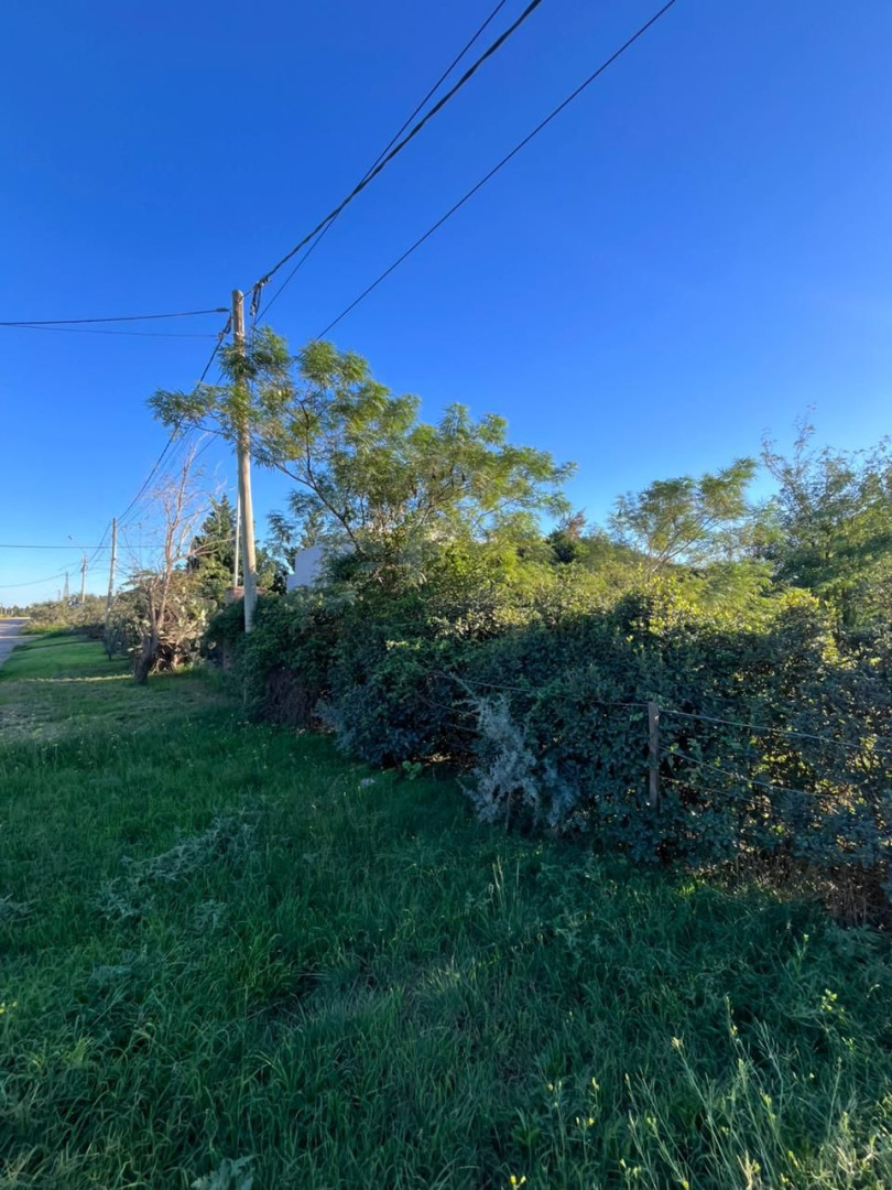 Terreno en Venta en ERIZE 3237, Paihuen, Bahía Blanca - Bahía Blanca Propiedades | SITIO OFICIAL l