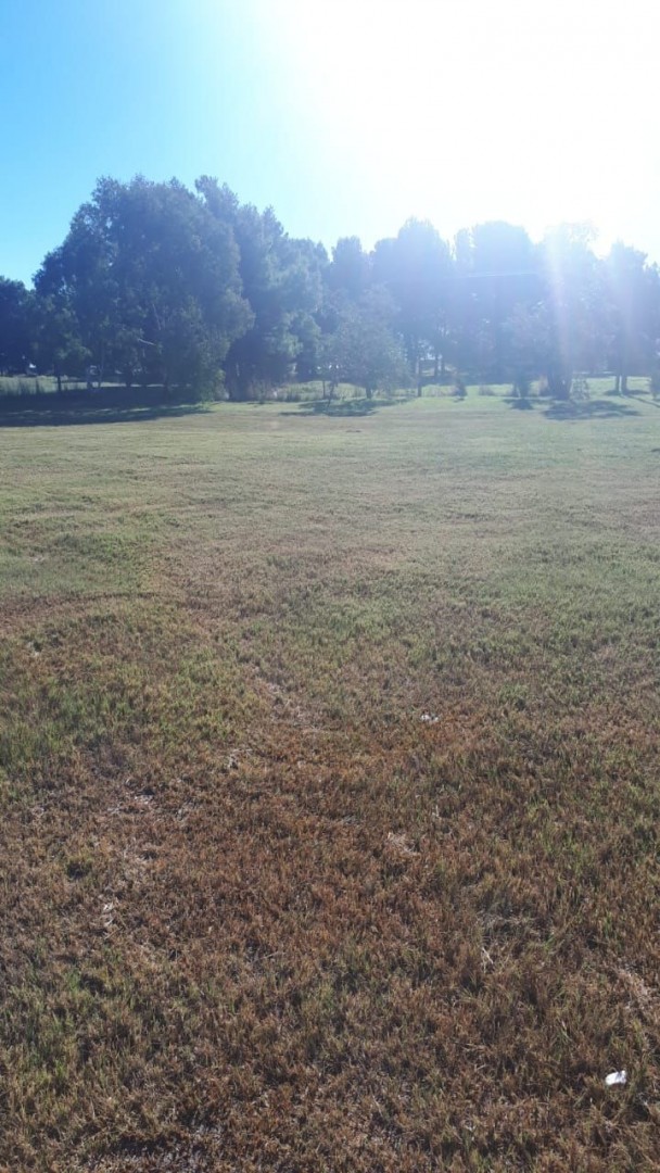 Terreno en Venta  Pago Chico, Bahía Blanca - Bahía Blanca Propiedades | SITIO OFICIAL l