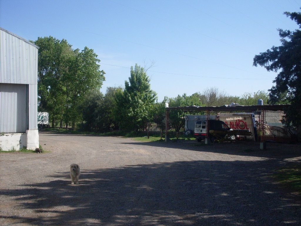 Deposito en Venta en Hugony 2800 Esquina Fortineros,  Bahía Blanca - Bahía Blanca Propiedades | SITIO OFICIAL l