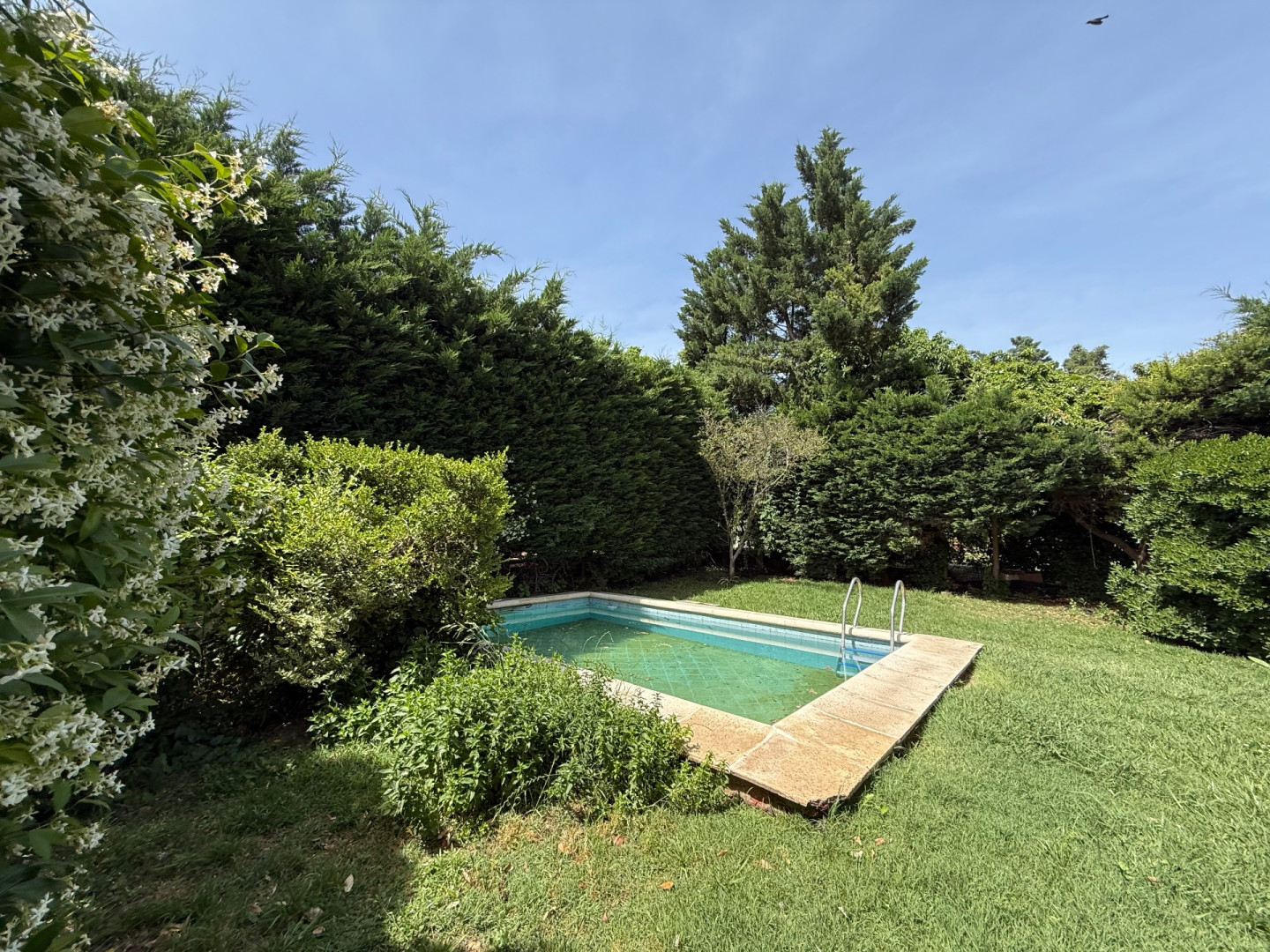 Casa en Venta en Chadiche 420, Patagonia, Bahía Blanca - Bahía Blanca Propiedades | SITIO OFICIAL l