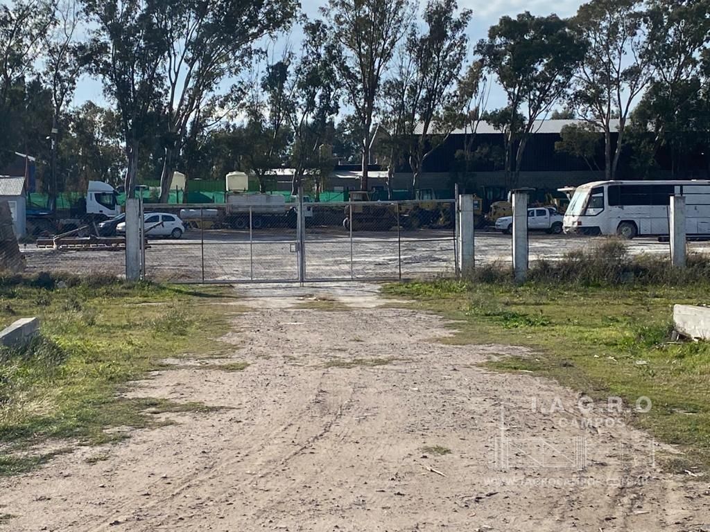 Galpón en Venta en Charlone Y Ruta 3,  Bahía Blanca - Bahía Blanca Propiedades | SITIO OFICIAL l