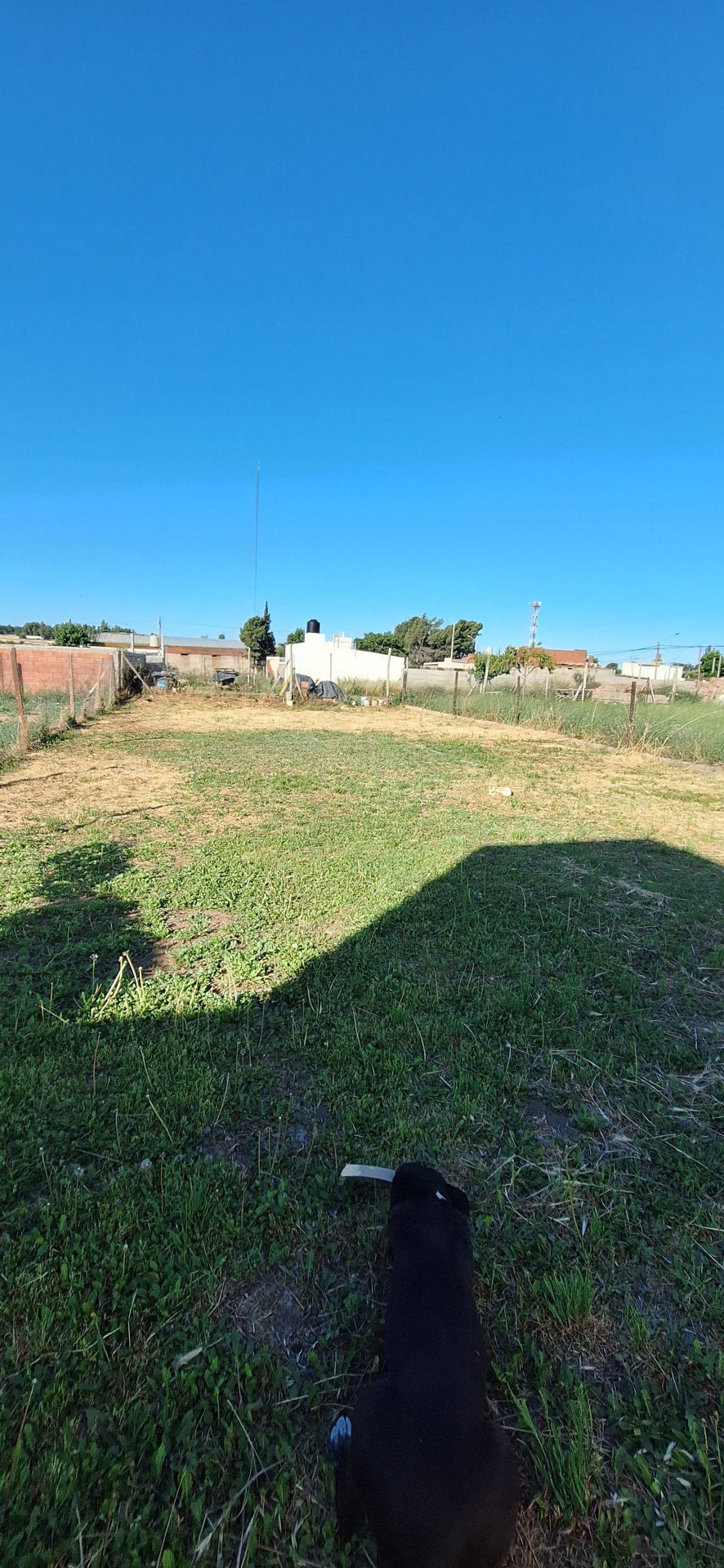 Casa en Alquiler en La Falda 2845, Los Olivos, Bahía Blanca - Bahía Blanca Propiedades | SITIO OFICIAL l