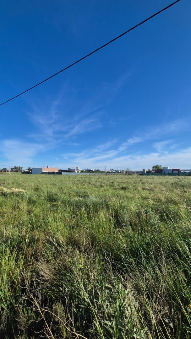 Terreno en Venta en Pirovano 2800,  Bahía Blanca - Bahía Blanca Propiedades | SITIO OFICIAL l