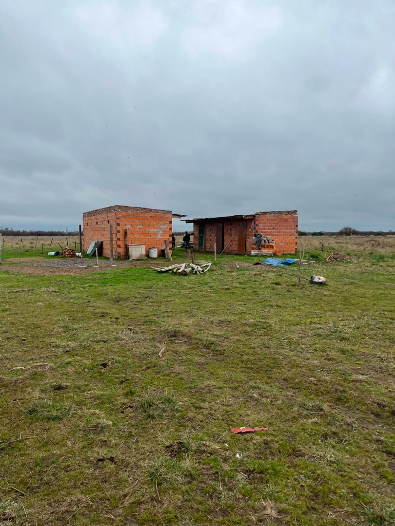 Campo  en Venta en Ruta 3 Klm 704,  Bahía Blanca - Bahía Blanca Propiedades | SITIO OFICIAL l