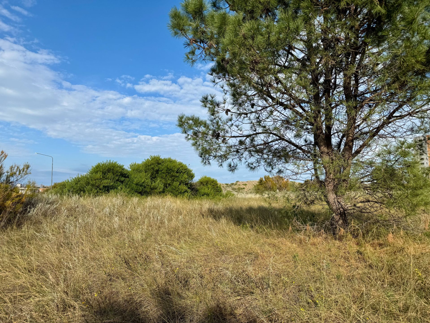 Terreno en Venta en Flamencos Y Martinetas, Monte del Este, Monte Hermoso - Bahía Blanca Propiedades | SITIO OFICIAL l