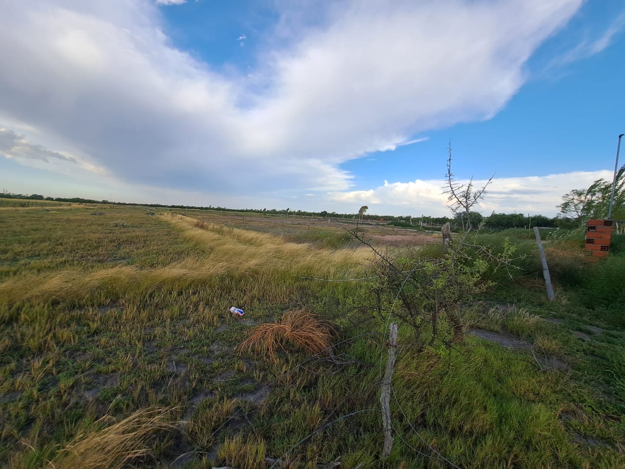 Terreno en Venta en Urquiza 1600,  General Cerri - Bahía Blanca Propiedades | SITIO OFICIAL l