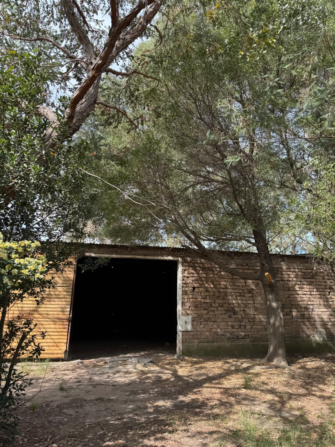 Casaquinta en Venta en Bustamante Y Colombres,  Medanos - Bahía Blanca Propiedades | SITIO OFICIAL l