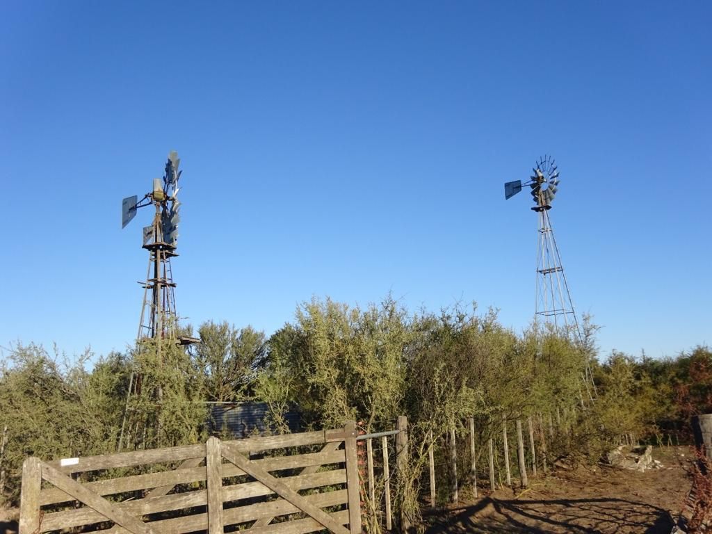 Campo  en Venta   Medanos - Bahía Blanca Propiedades | SITIO OFICIAL l