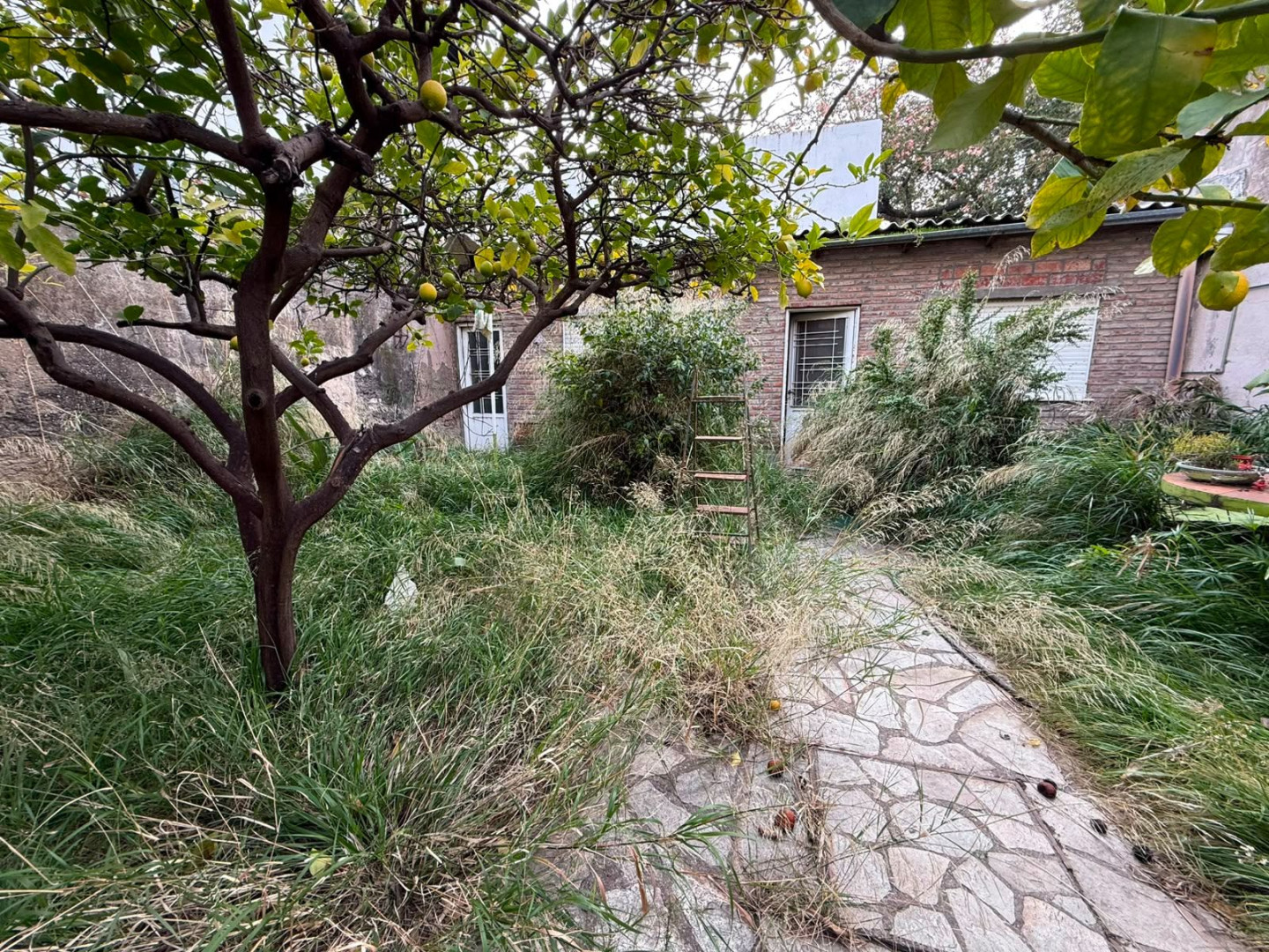 Casa en Venta en Terrada 57, Macrocentro, Bahía Blanca - Bahía Blanca Propiedades | SITIO OFICIAL l