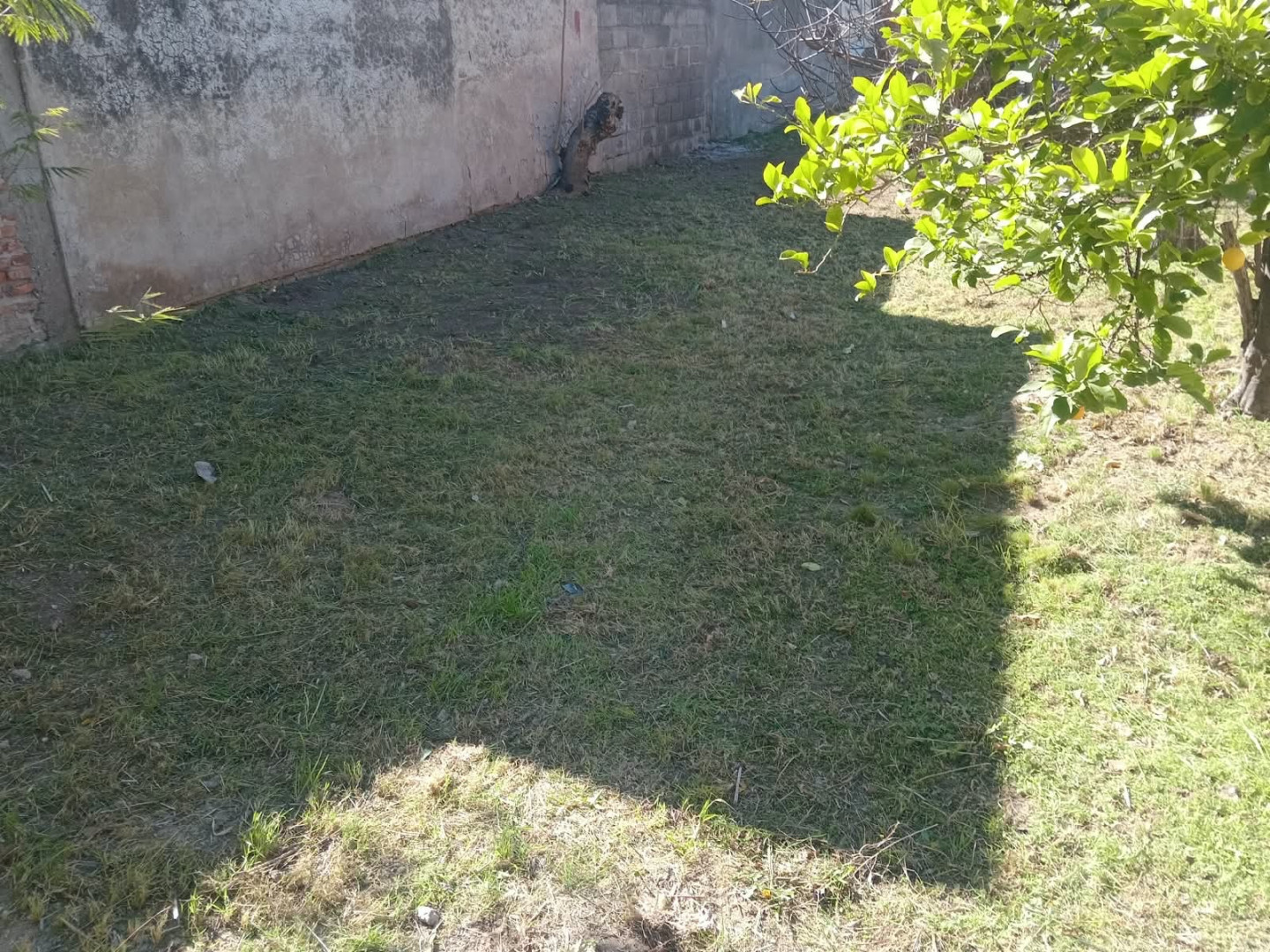 Casa en Alquiler en Drago 2640,  Bahía Blanca - Bahía Blanca Propiedades | SITIO OFICIAL l