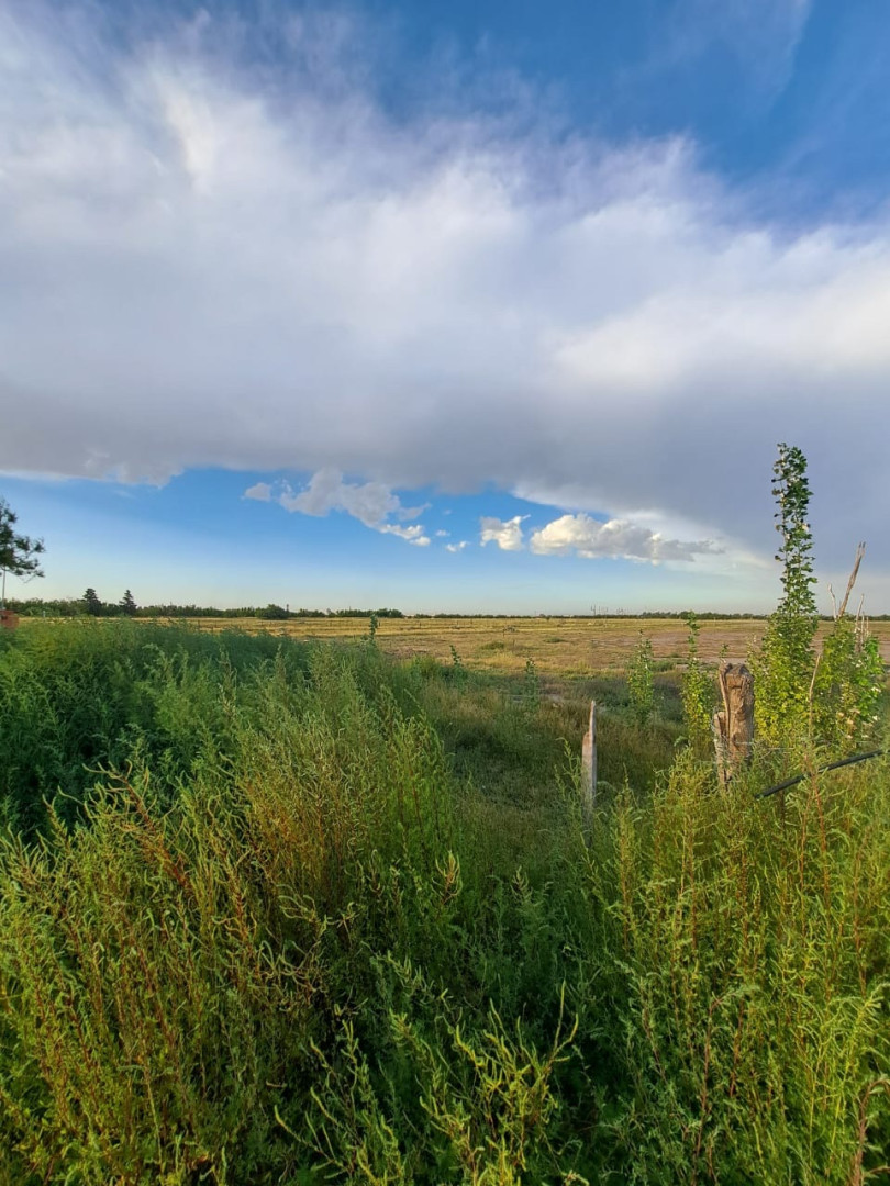 Terreno en Venta en Urquiza 1600,  General Cerri - Bahía Blanca Propiedades | SITIO OFICIAL l