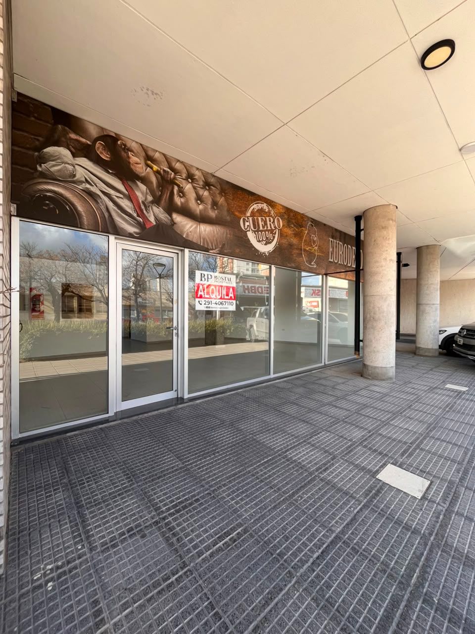 Local en Alquiler en Dorrego 532, Macrocentro, Bahía Blanca - Bahía Blanca Propiedades | SITIO OFICIAL l