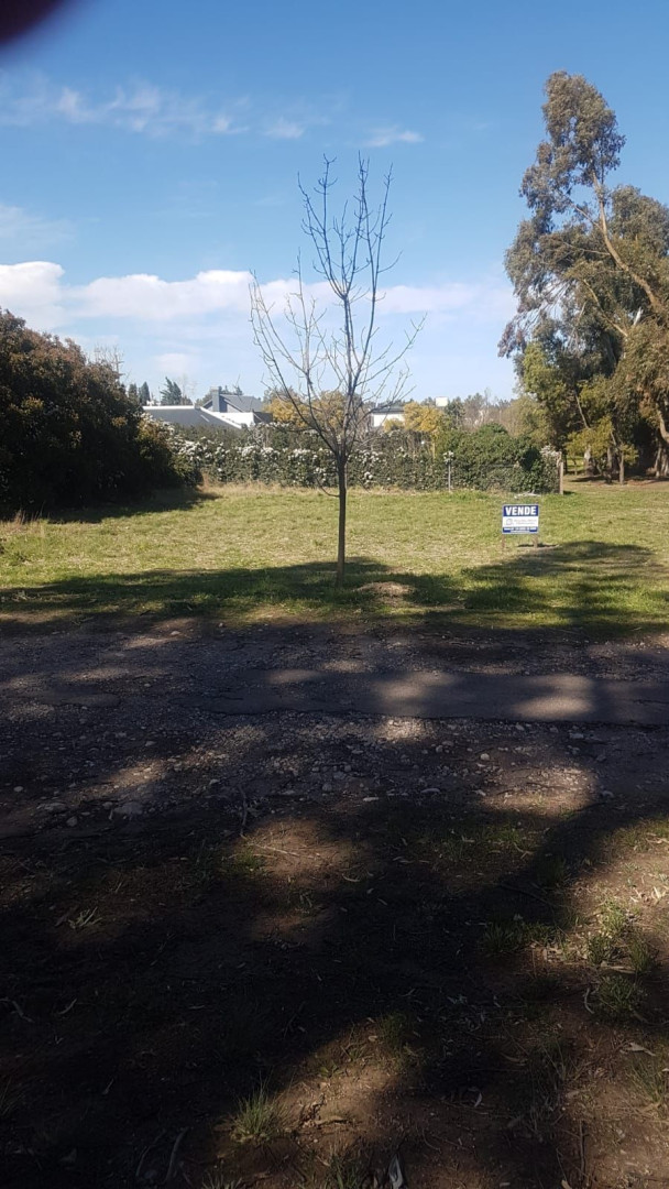 Terreno en Venta  Pago Chico, Bahía Blanca - Bahía Blanca Propiedades | SITIO OFICIAL l