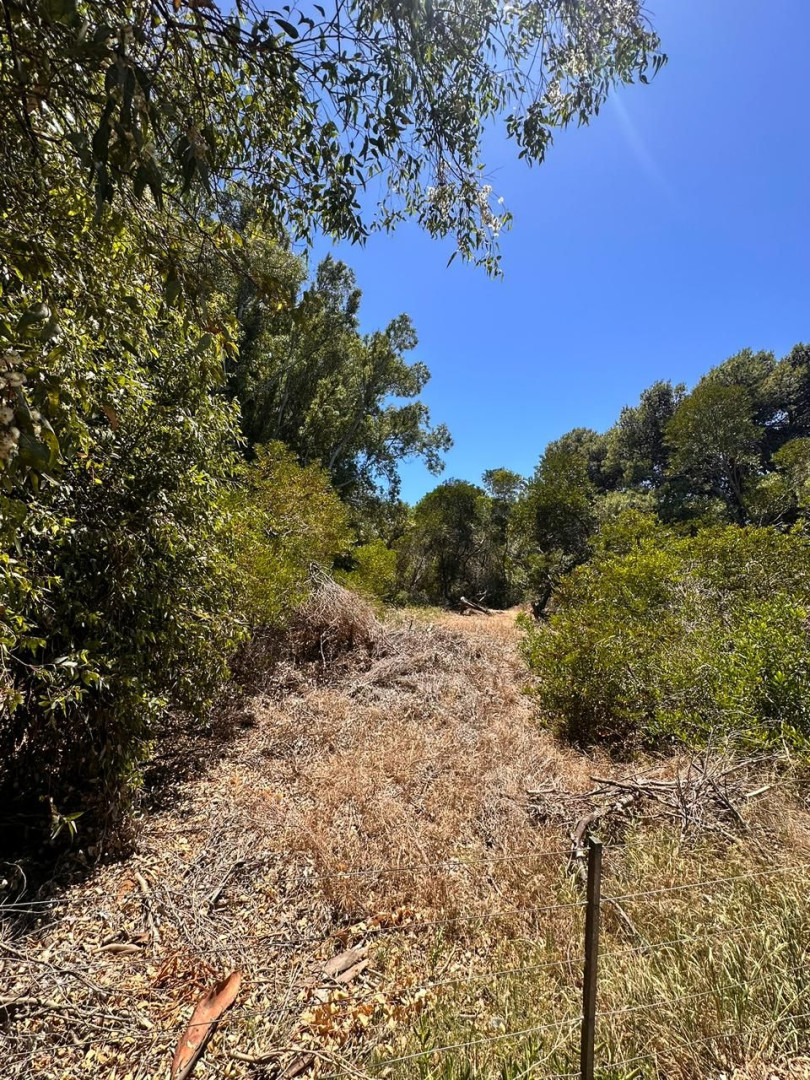 Terreno en Venta en Rodriguez Peña Y Quintana , El Sauce, Monte Hermoso - Bahía Blanca Propiedades | SITIO OFICIAL l