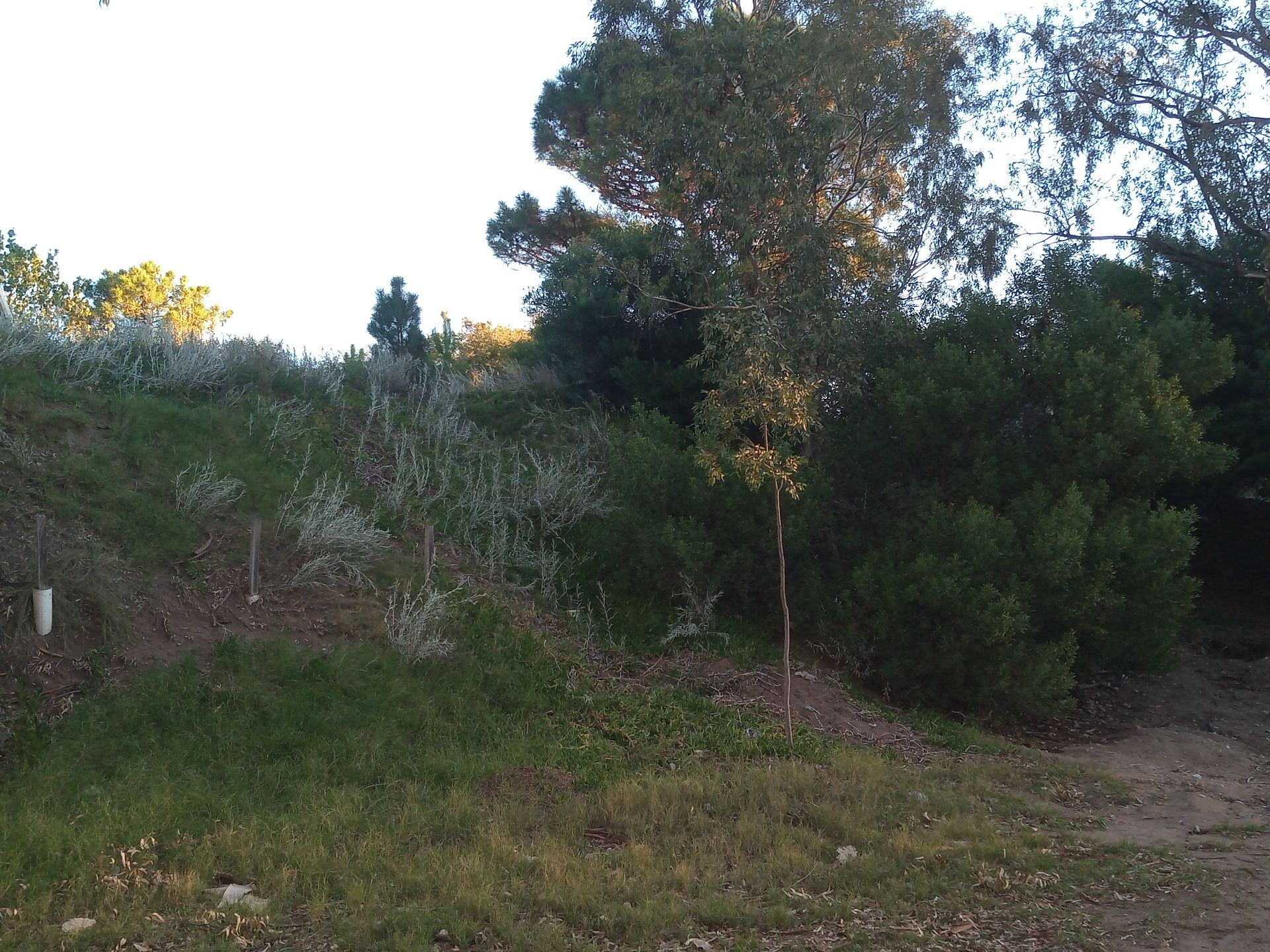 Terreno en Venta en Santa Fe 650,  Monte Hermoso - Bahía Blanca Propiedades | SITIO OFICIAL l