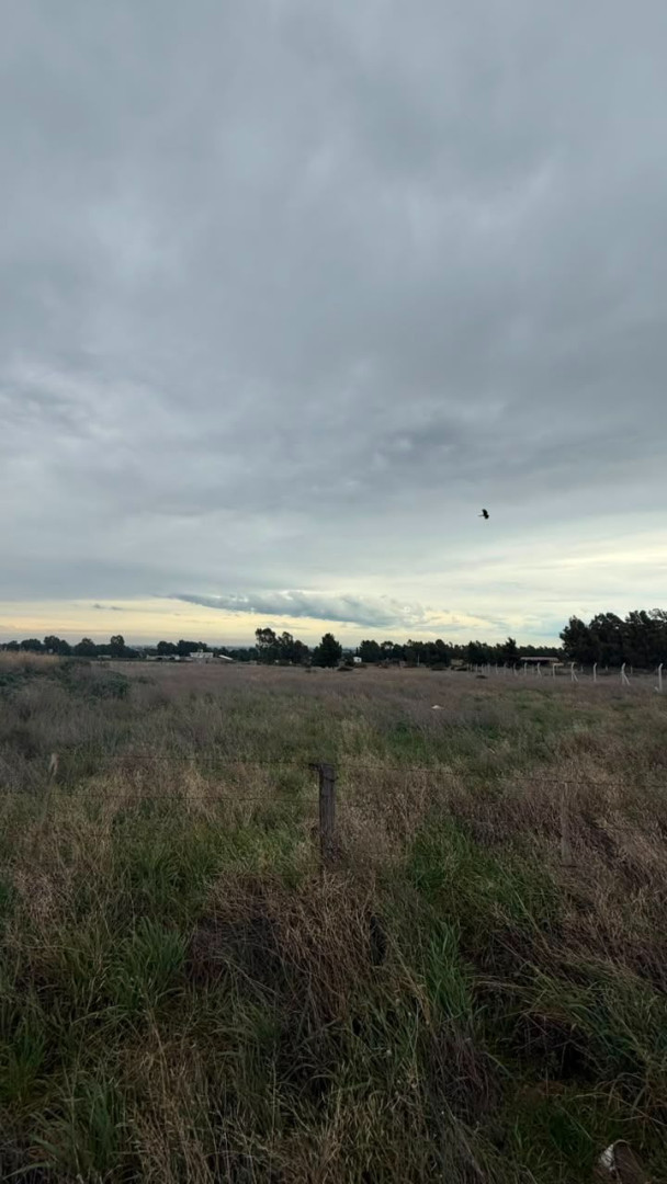 Terreno en Venta en Ernesto Che Guevara De La Serna 4108, Villa Belgrano, Bahía Blanca - Bahía Blanca Propiedades | SITIO OFICIAL l