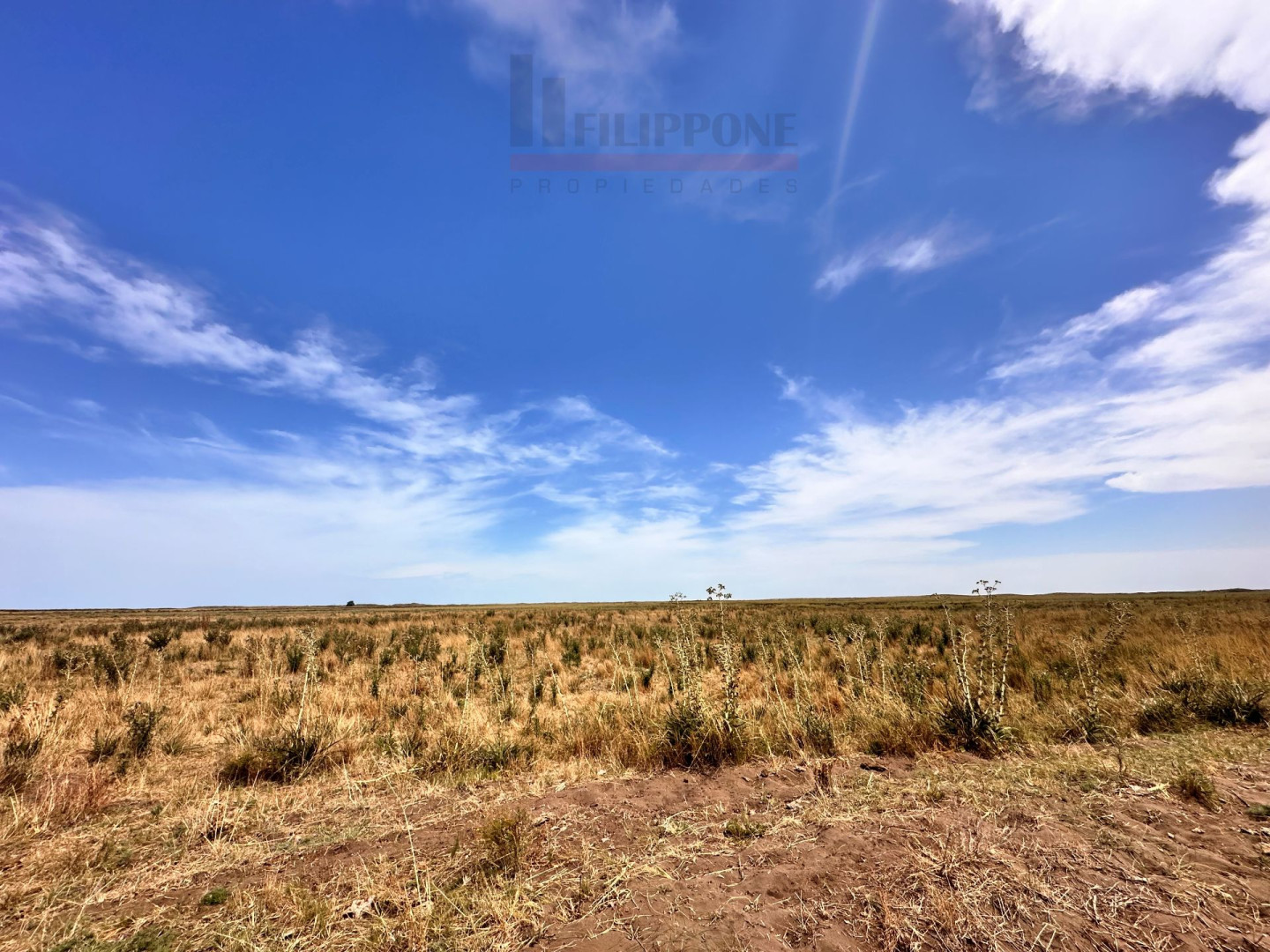 Campo  en Venta   Coronel Dorrego - Bahía Blanca Propiedades | SITIO OFICIAL l