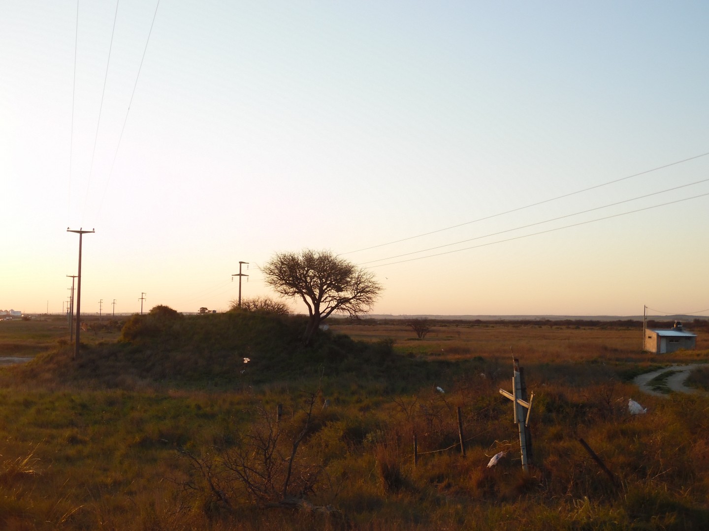 Terreno en Venta en Ruta 3 Sur - Frente Al Frigorífico Siracusa,  Bahía Blanca - Bahía Blanca Propiedades | SITIO OFICIAL l