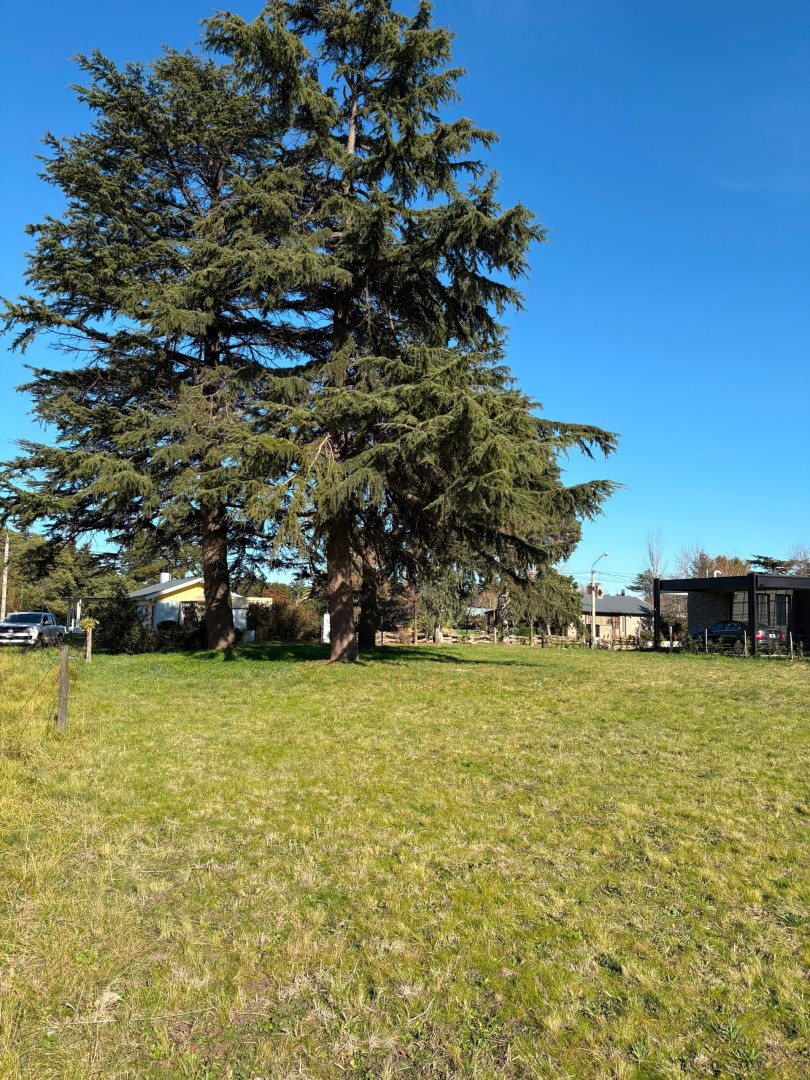 Terreno en Venta en Los Jilgueros, Parque Golf, Sierra de  la Ventana - Bahía Blanca Propiedades | SITIO OFICIAL l