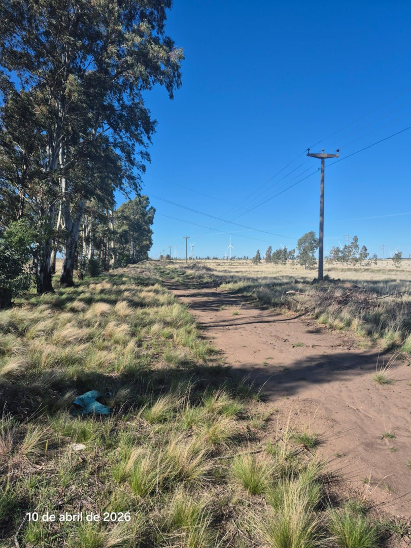 Campo  en Venta en Ruta 51 Km 722,  Bahía Blanca - Bahía Blanca Propiedades | SITIO OFICIAL l