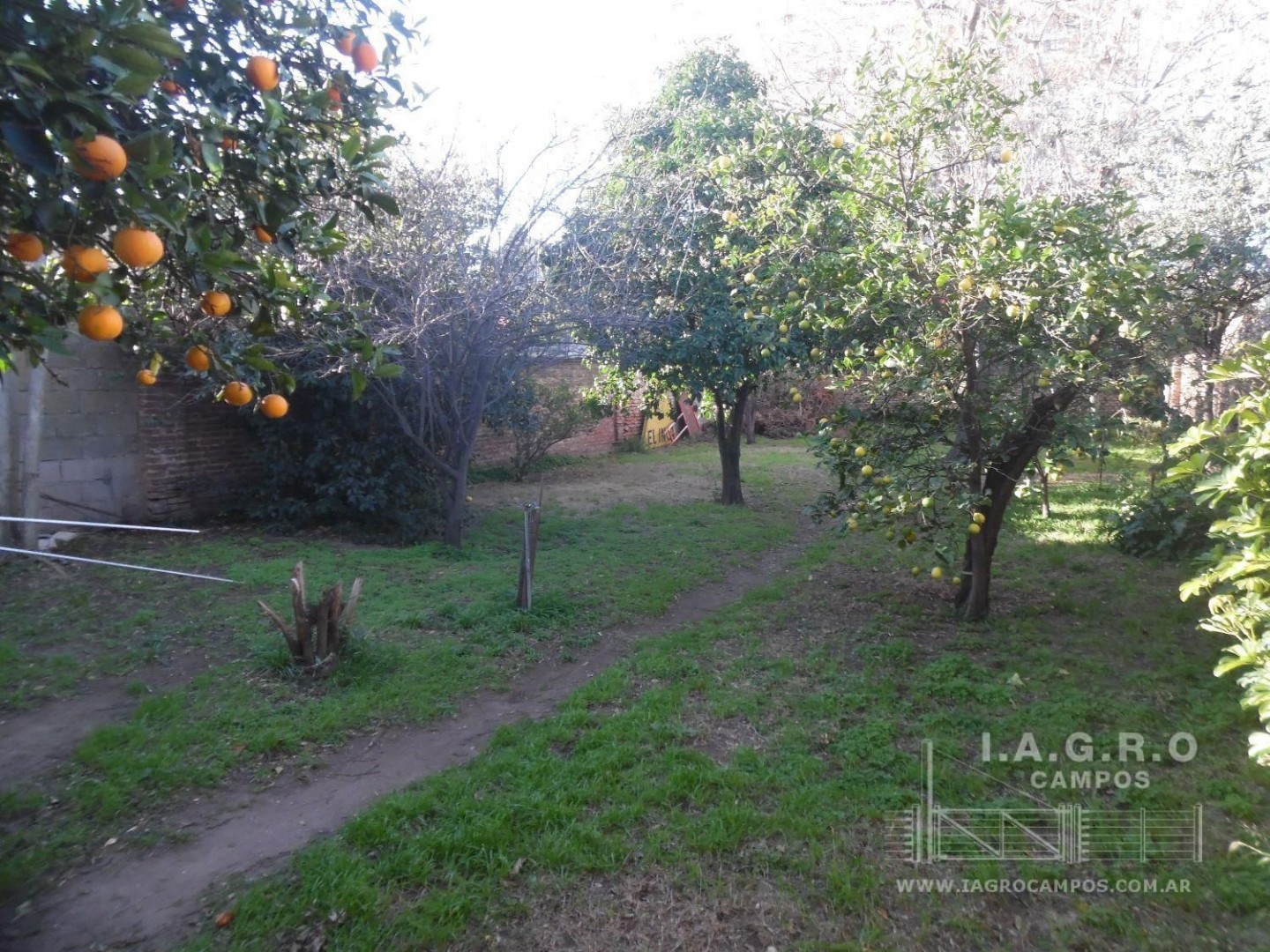 Casa con Local en Venta en Sixto Laspiur 200, Almafuerte, Bahía Blanca - Bahía Blanca Propiedades | SITIO OFICIAL l