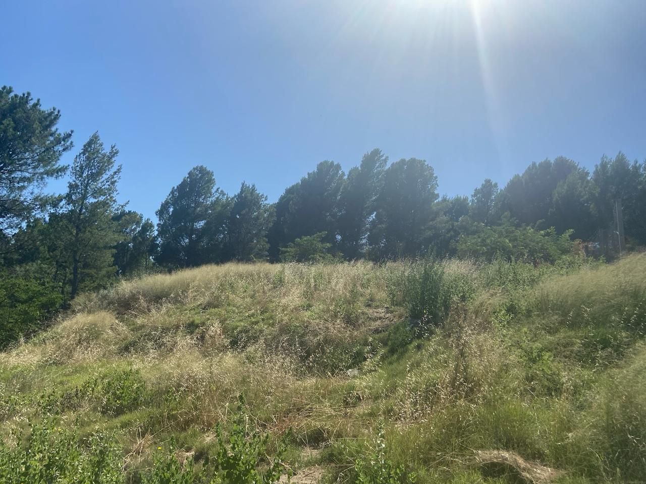 Terreno en Venta en Salta 933, Dufaur, Monte Hermoso - Bahía Blanca Propiedades | SITIO OFICIAL l