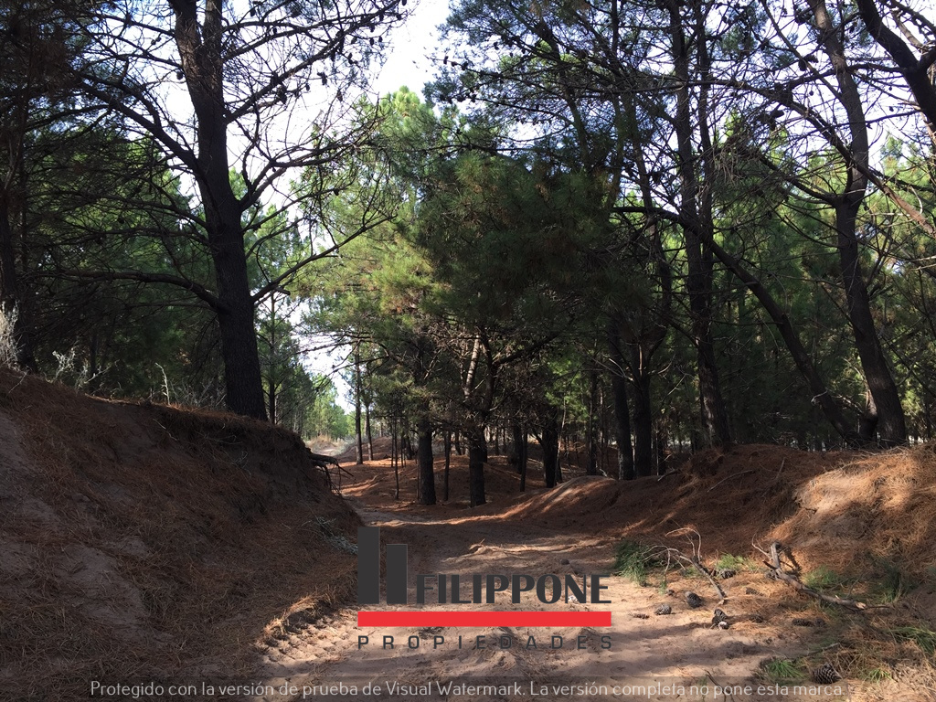 Terreno en Venta   Pehuen Co - Bahía Blanca Propiedades | SITIO OFICIAL l