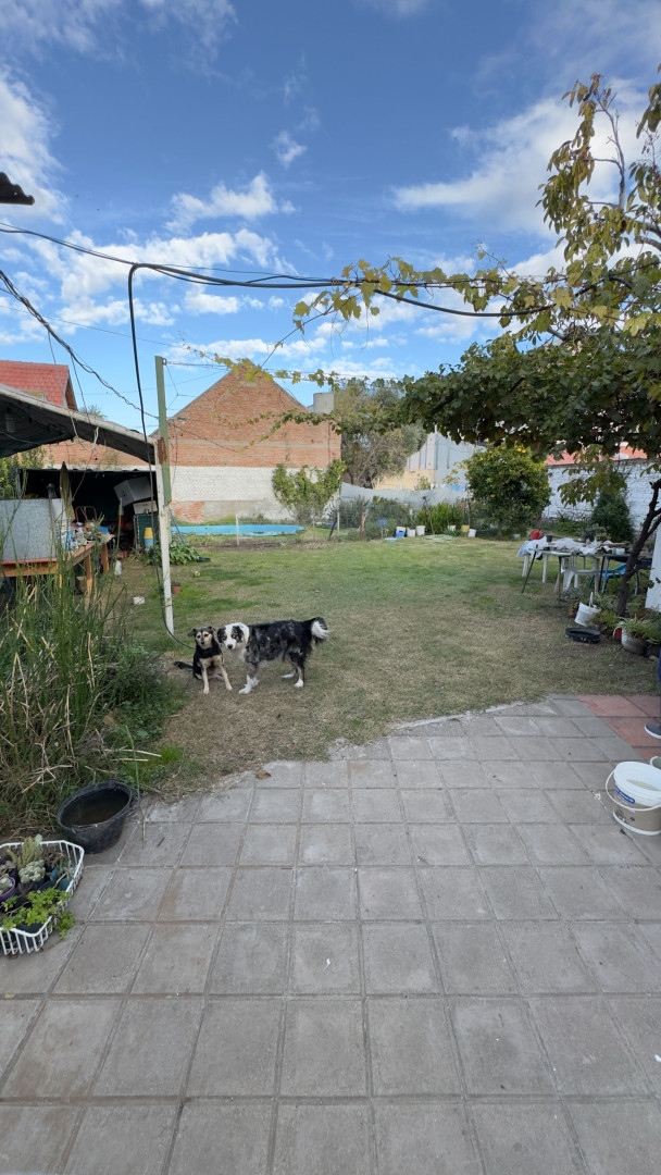 Casa con Local en Venta en 1ero De Marzo 381, Universitario, Bahía Blanca - Bahía Blanca Propiedades | SITIO OFICIAL l