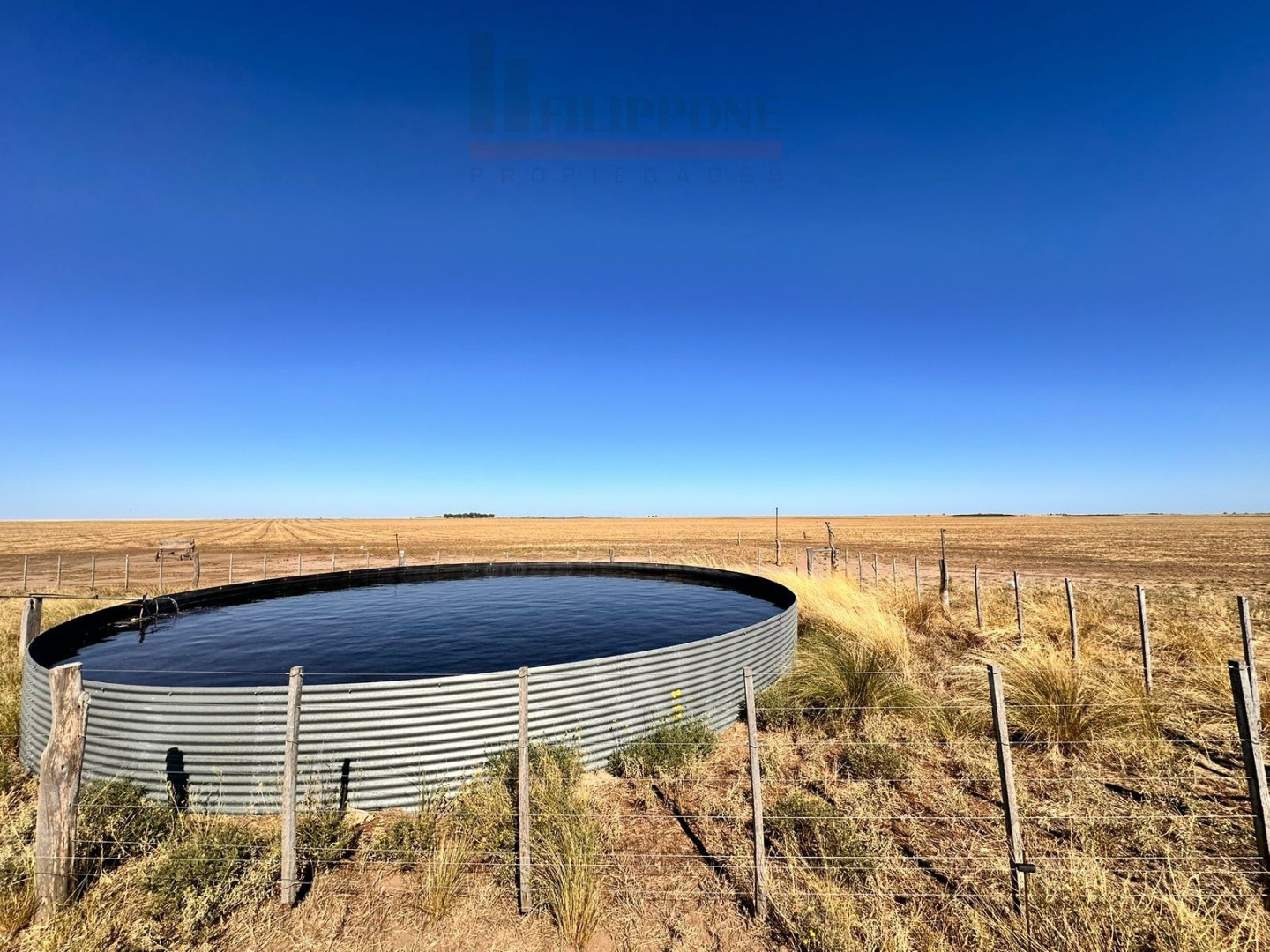 Campo  en Venta en Ruta 35,  Bahía Blanca - Bahía Blanca Propiedades | SITIO OFICIAL l