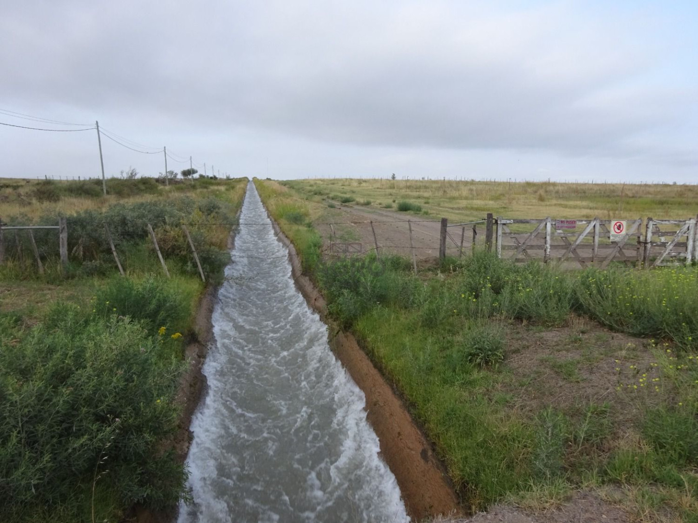 Campo  en Venta en Ruta Nacional 22,  Rio Colorado - Bahía Blanca Propiedades | SITIO OFICIAL l