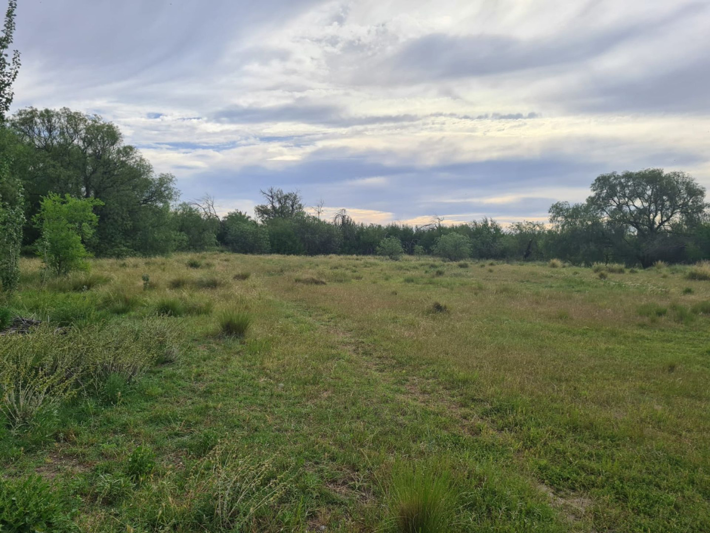 Casaquinta en Venta en General Artigas 600,  General Cerri - Bahía Blanca Propiedades | SITIO OFICIAL l