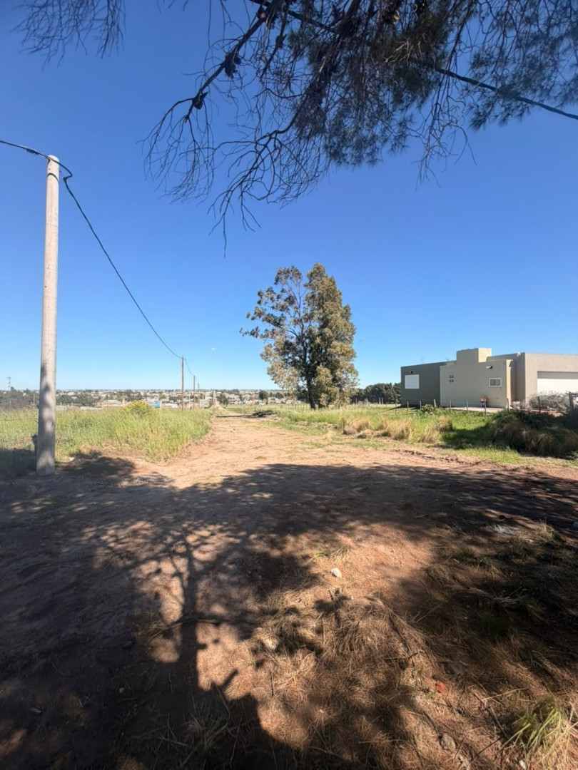 Terreno en Venta en Los Pinos Y Felipe Varela , San Carlos, Bahía Blanca - Bahía Blanca Propiedades | SITIO OFICIAL l