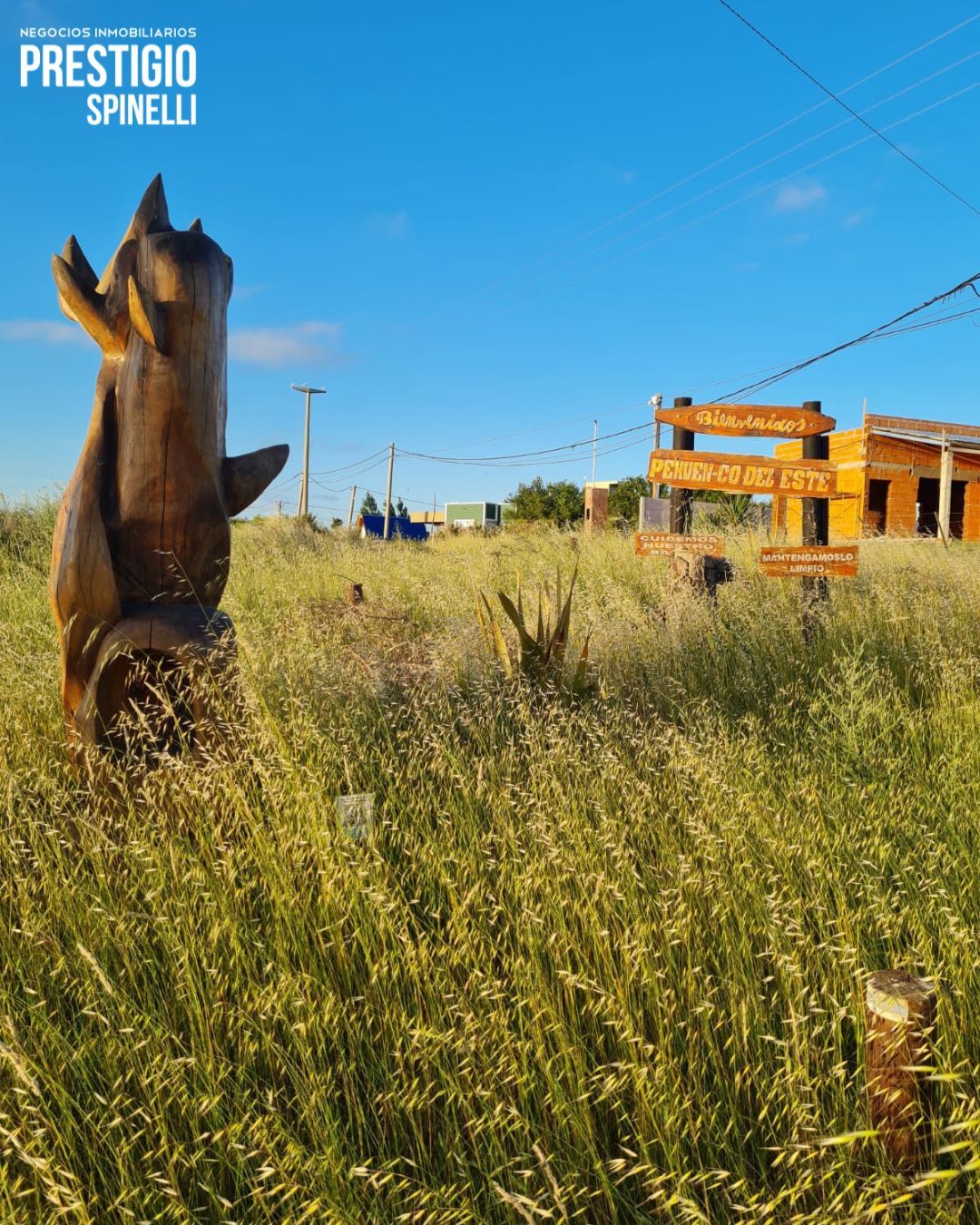 Terreno en Venta en La Hercules, Pehuen - Co,  Pehuen Co - Bahía Blanca Propiedades | SITIO OFICIAL l