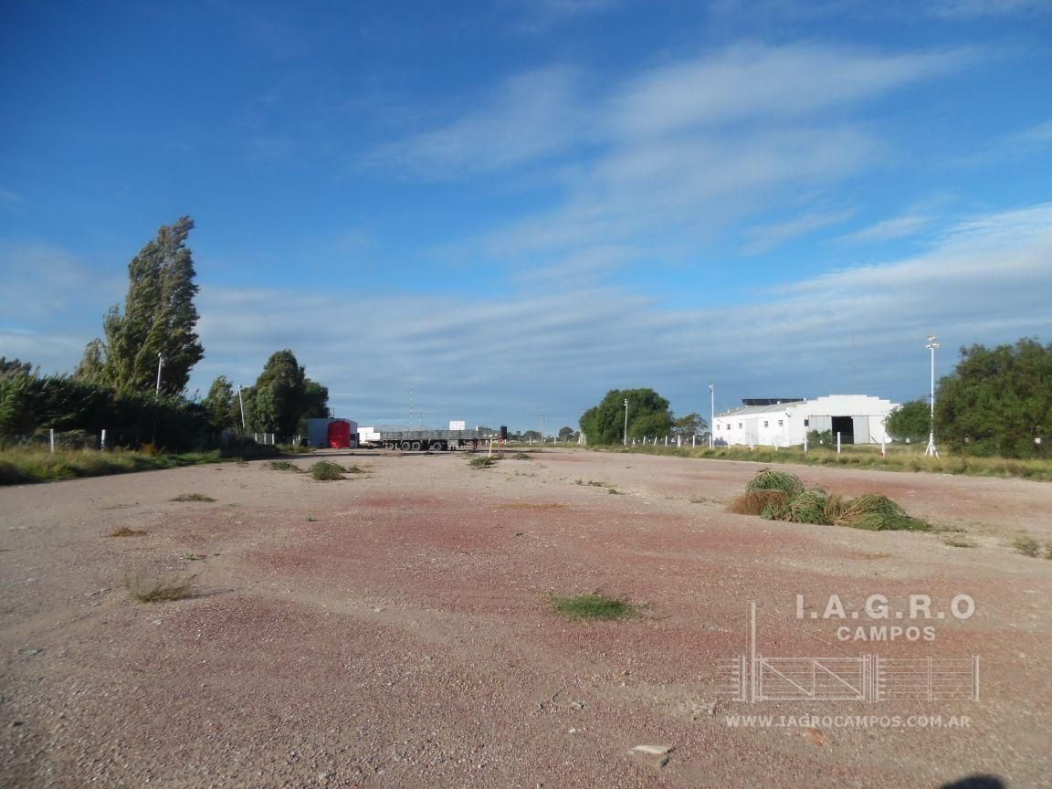 Terreno en Venta en Ruta Nacional 3 Sur Km 695,  Bahía Blanca - Bahía Blanca Propiedades | SITIO OFICIAL l