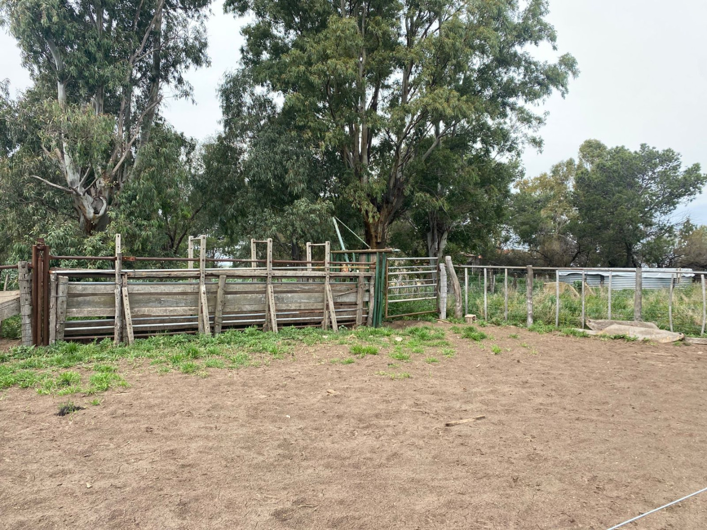Campo  en Venta   Villarino - Bahía Blanca Propiedades | SITIO OFICIAL l