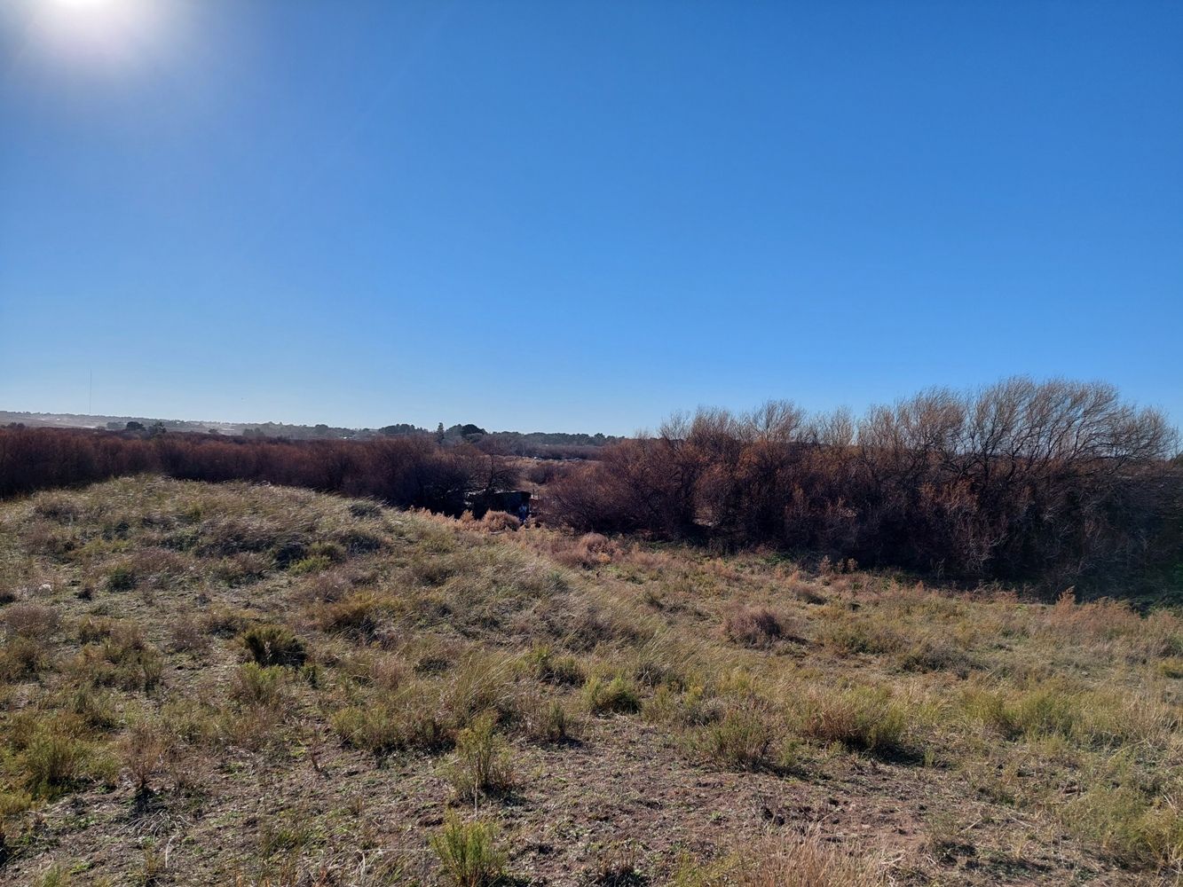 Terreno en Venta en Rodriguez Y Brigadier Estanislao Lopez ,  Bahía Blanca - Bahía Blanca Propiedades | SITIO OFICIAL l
