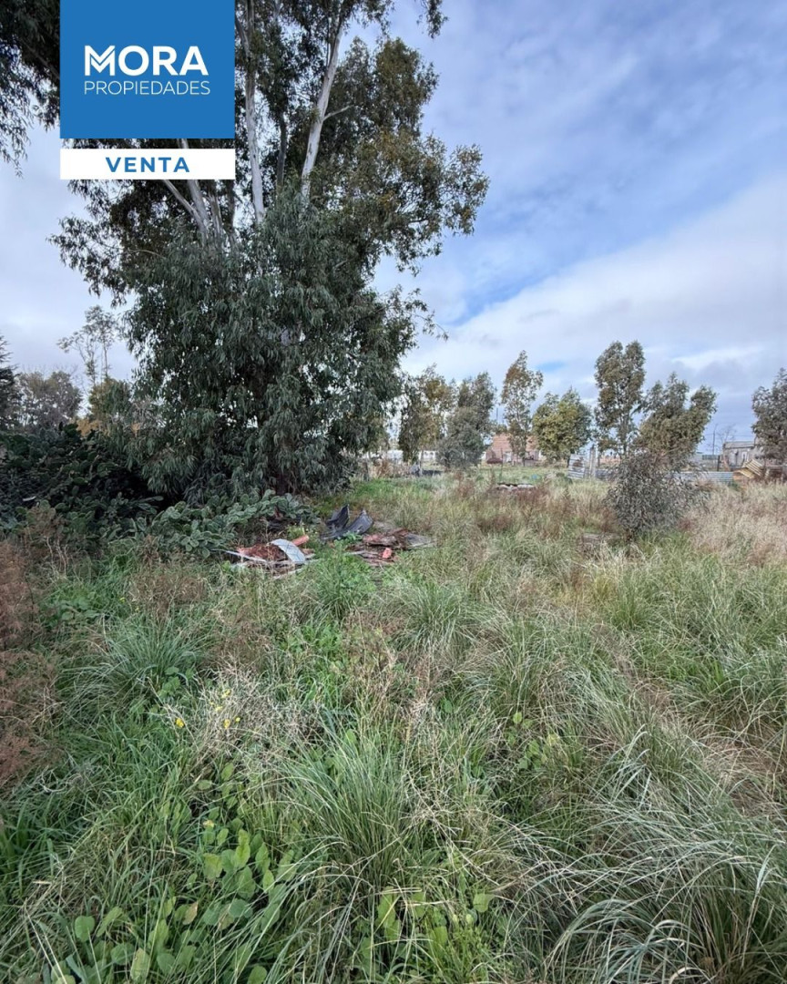 Casaquinta en Venta en El Boyero 2020,  Bahía Blanca - Bahía Blanca Propiedades | SITIO OFICIAL l