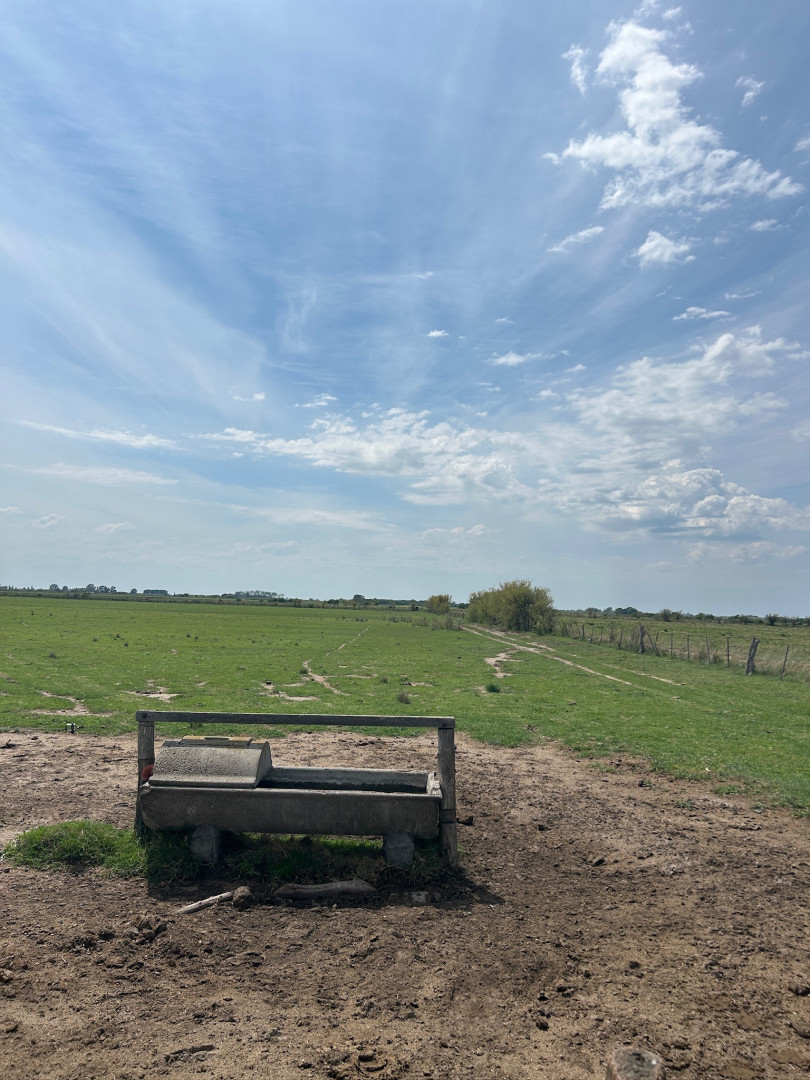 Campo  en Venta en Rio Mayor Buratovich,  Hilario Ascasubi - Bahía Blanca Propiedades | SITIO OFICIAL l