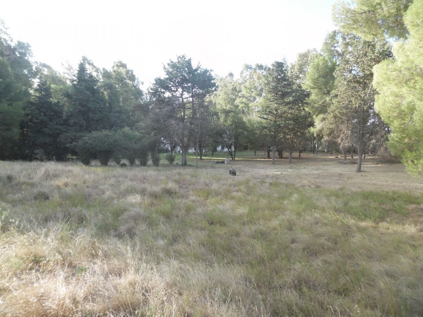 Terreno en Venta en Sesquicentenario Y Cabrera, Sesquicentenario, Bahía Blanca - Bahía Blanca Propiedades | SITIO OFICIAL l