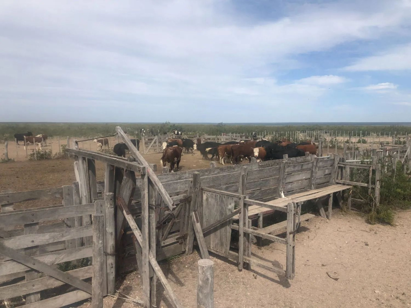 Campo  en Venta en Ruta Provincial 34,  Lihuel Calel - La Pampa - Bahía Blanca Propiedades | SITIO OFICIAL l