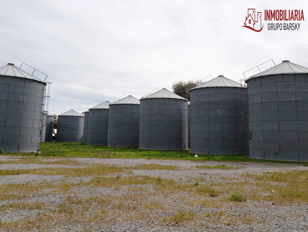 Campo  en Venta   Coronel Dorrego - Bahía Blanca Propiedades | SITIO OFICIAL l