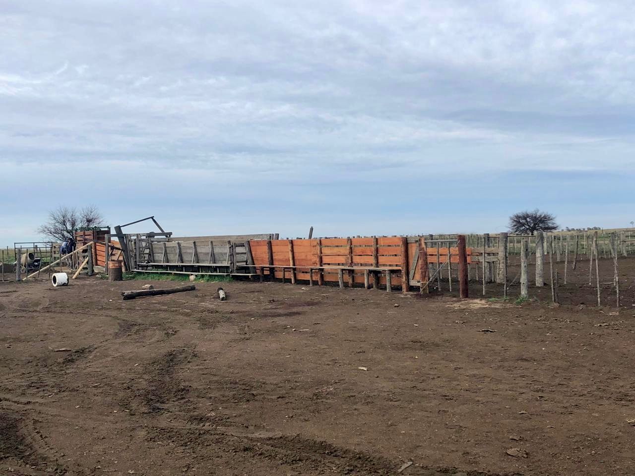Campo  en Venta   Algarrobo - Bahía Blanca Propiedades | SITIO OFICIAL l