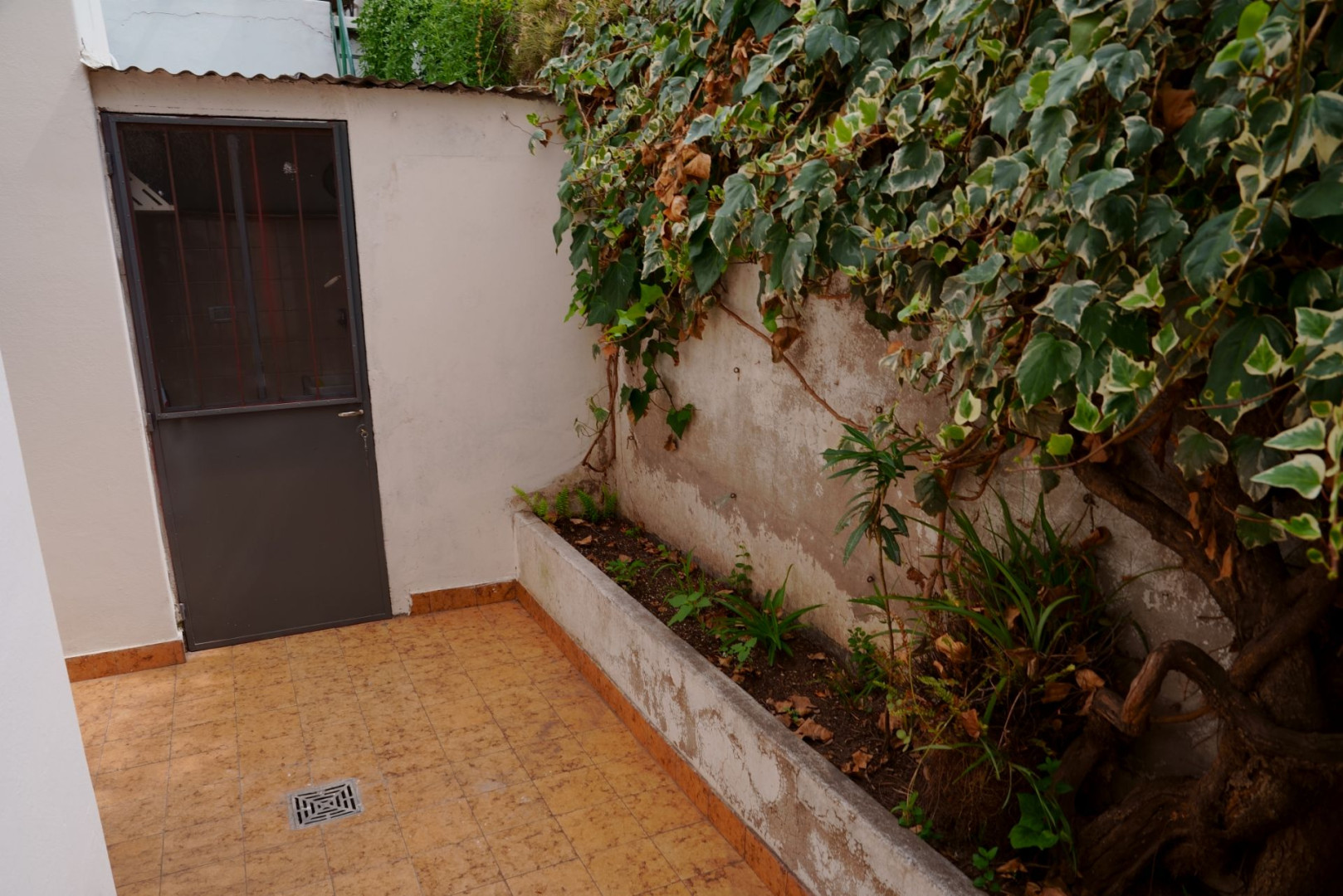 Casa en Venta en Saavedra 430, Macrocentro, Bahía Blanca - Bahía Blanca Propiedades | SITIO OFICIAL l