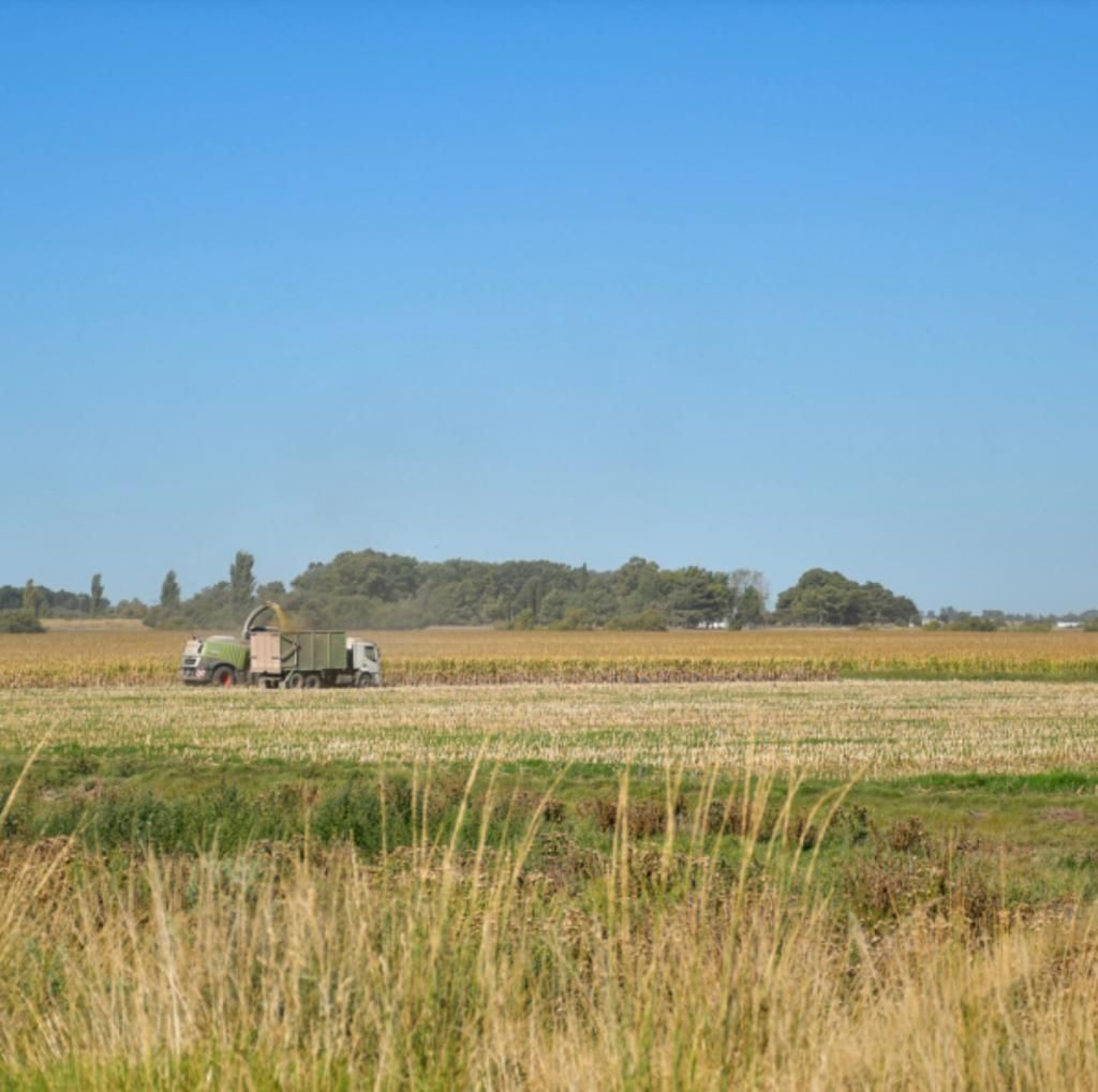 Campo  en Venta   Pedro Luro - Bahía Blanca Propiedades | SITIO OFICIAL l