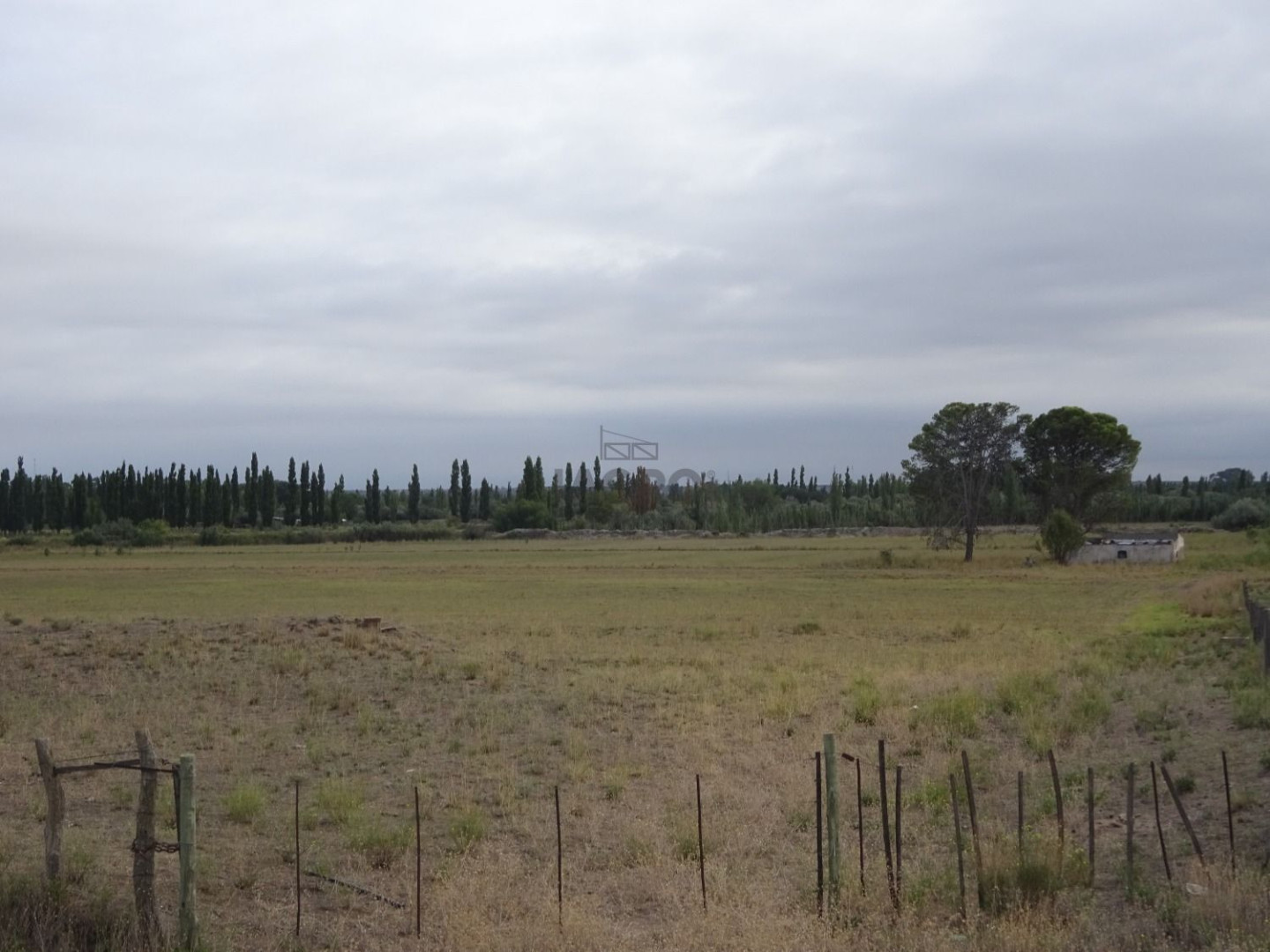 Campo  en Venta en Ruta Nacional 22,  Rio Colorado - Bahía Blanca Propiedades | SITIO OFICIAL l
